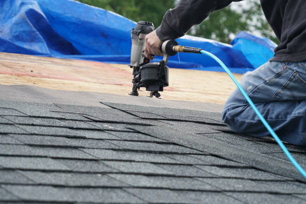 Best Roof Insulation Installation  in Little Cypress, TX