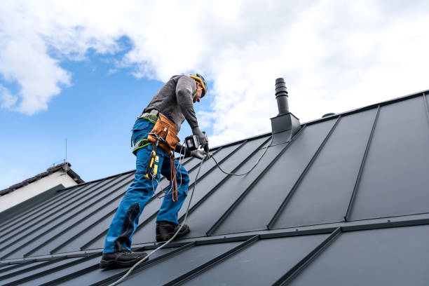 Best Roof Insulation Installation  in Little Cypress, TX