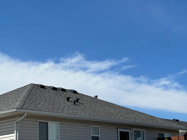 Best Skylight Installation and Repair  in Little Cypress, TX